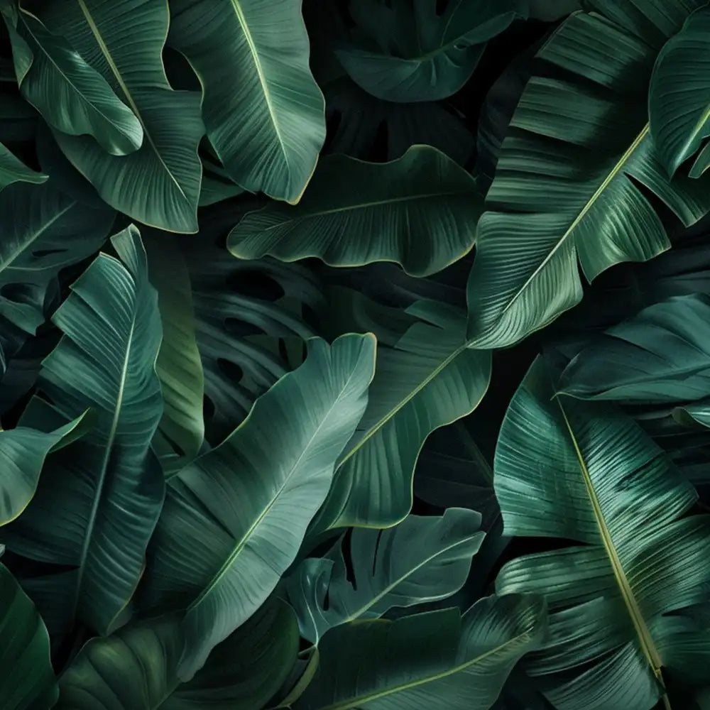 Forest green dark tropical banana leaf peel-and-stick wallpaper for dramatic bedroom accent