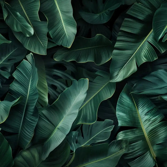 Forest green dark tropical banana leaf peel-and-stick wallpaper for dramatic bedroom accent