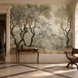 Tuscan Olive Grove Fresco Wall Mural