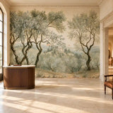 Tuscan Olive Grove Fresco Wall Mural