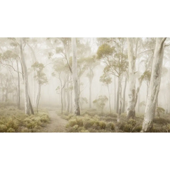 Misty Forest Wall Mural