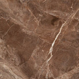 Mocha Breccia Marble Mural