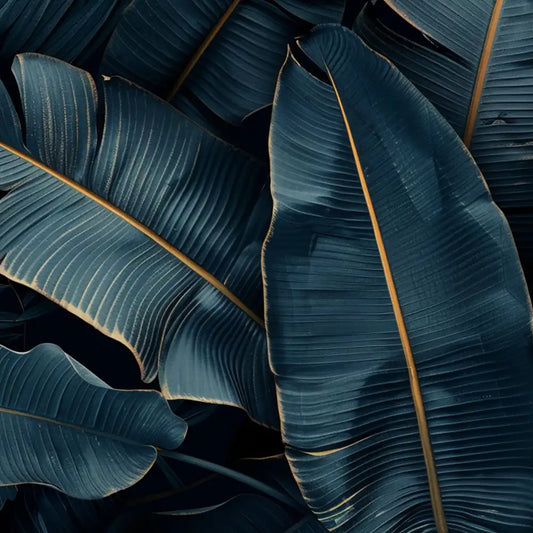 Midnight navy bold tropical peel-and-stick wallpaper, dramatic accent wall for bedroom