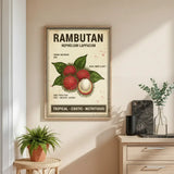 Exotic Tropical Fruit Botanical Illustration Poster Set – Kitchen Dining Room Wall Art