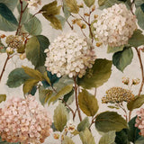 Vintage Hydrangea Wallpaper