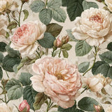Blush English Rose Wallpaper