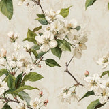 White Blossom Garden Botanical Wallpaper