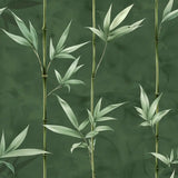 Elegant Bamboo Leaf Zen Wallpaper – Asian Natural Peel-and-Stick Bedroom Office