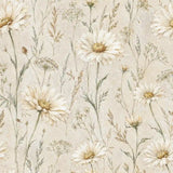 Ivory daisy meadow wallpaper with scattered daisies for a light, open wall.