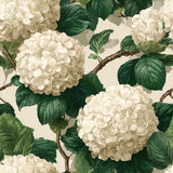 Closeup of ivory hydrangea floral pattern wallpaper showing soft petal texture and detail