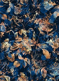 Midnight Flora – Navy Wallpaper