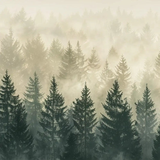 Misty pine forest mural design with layered evergreens fading into soft fog